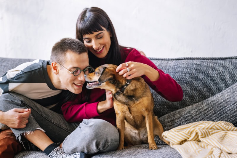 A lovely couple sitting on the sofa and playing with their dog