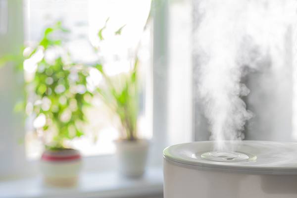 How a Humidifier Helps You Live Better